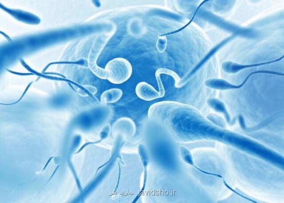 بررسی تأثیر روشی خاص برای آماده سازی اسپرم بر كیفیت جنین