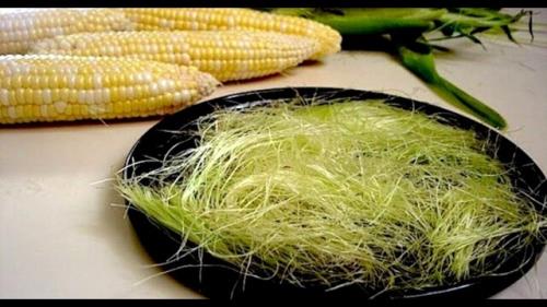 بررسی تأثیر کاکل ذرت در دفع سنگ کلیه