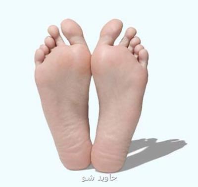 شناسایی شكل پای ایرانیان