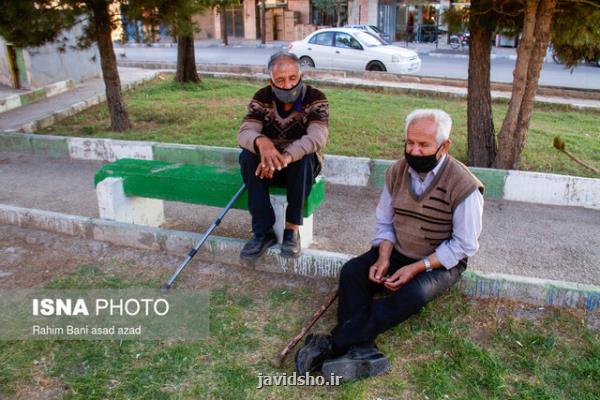 یک بازی کامپیوتری برای زنده نگه داشتن حافظه سالمندان