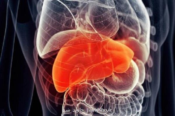 مهندسی بافت های مصنوعی بدن با فناوری لیزر کم توان