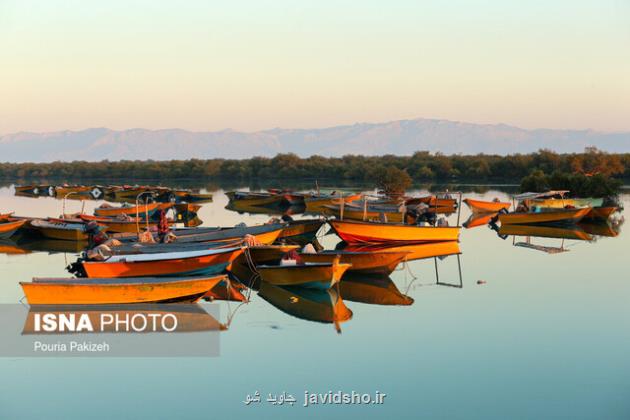 بهترین ماه های سال برای سفر به جنگل های حرا
