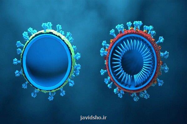 استفاده از نانوذرات لیپیدی برای تولید مکمل های غذایی در صنعت