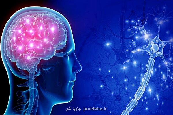 دفاع از طرح های دکتری و پسادکتری هماهنگ با اولویت های ستاد شناختی