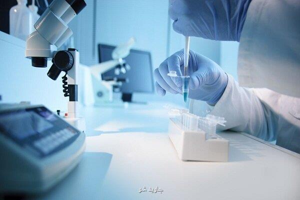 ویروس درمانی سرطان در مرحله فاز انسانی سرطان کبد و ریه کاندیدا شدند