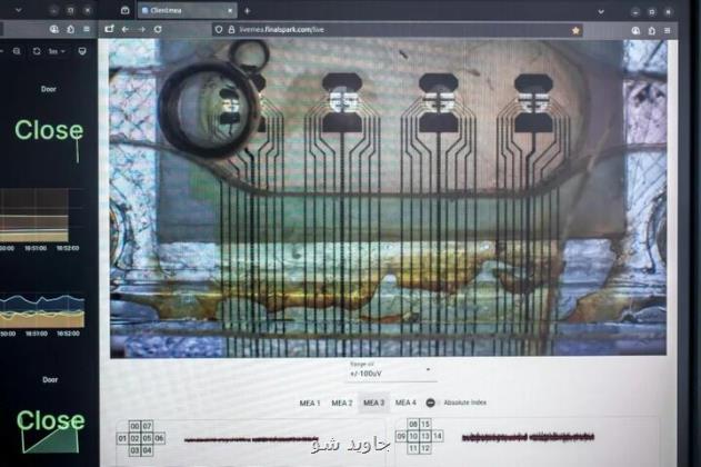 فعالسازی کامپیوتر با مینی مغزهای انسان ممکن می شود
