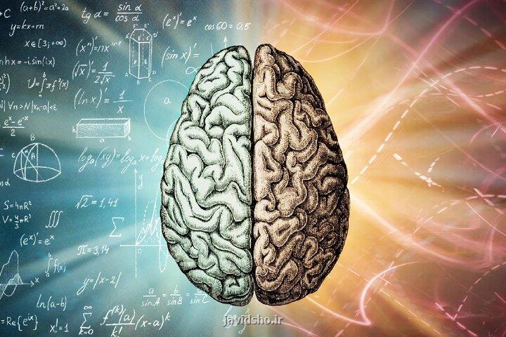 تمرینات ذهنی می توانند پیری مغز را تا 10 سال معکوس کنند