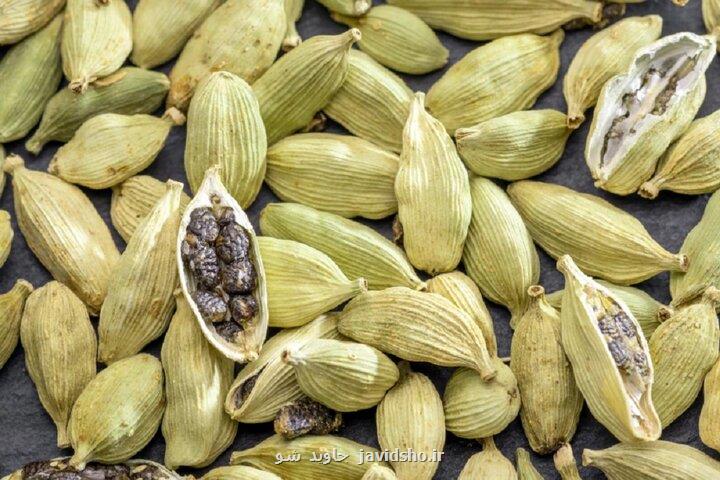 هل می تواند یک ضدویروس قوی باشد هل می تواند یک ضدویروس قوی باشد
