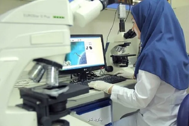 پروژه های دانشجویی نباید نیمه کاره بمانند