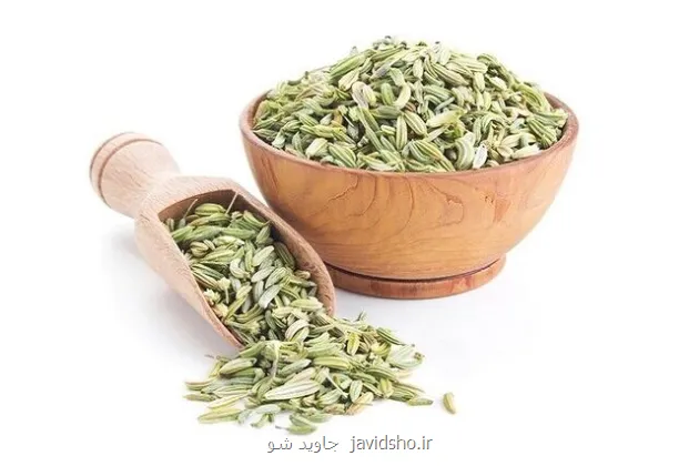 مصرف رازیانه چه اثری بر خونریزی قاعدگی دارد؟