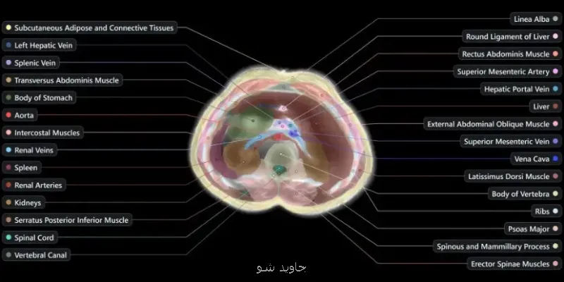 اسکن بدن بدون احتیاج به دستگاه MRI