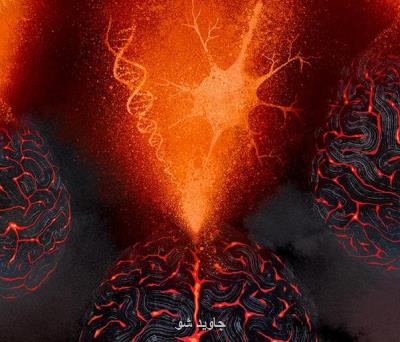 اگر حافظه خوبی ندارید، ژن ها را سرزنش كنید!