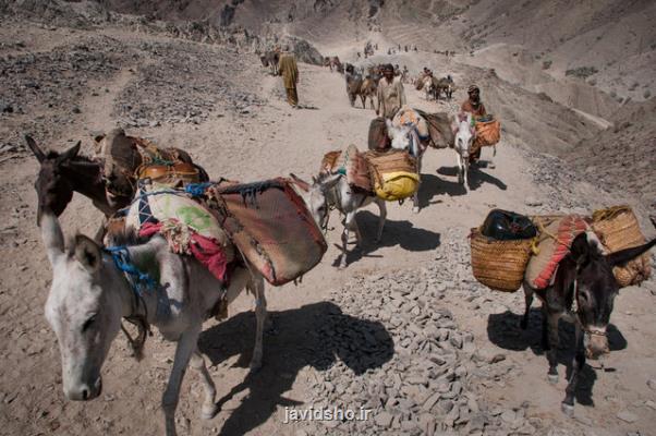 عوامل موثر در افزایش پدیده قاچاق در مناطق مرزی